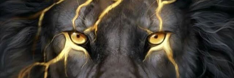 CryptoDyl banner