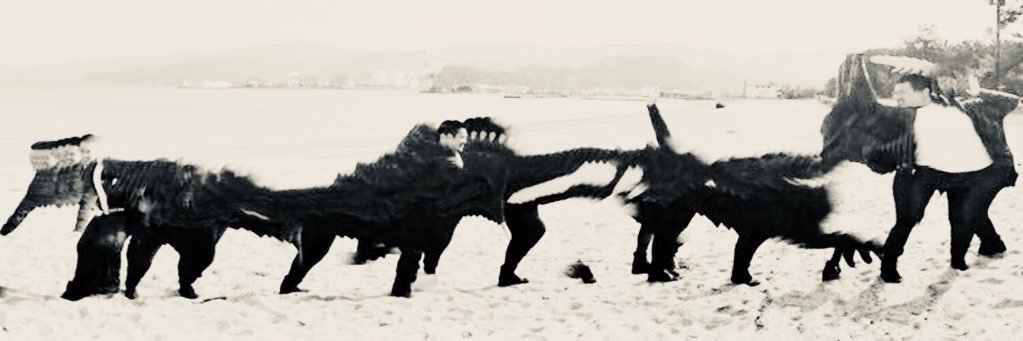 safari8's profile banner image