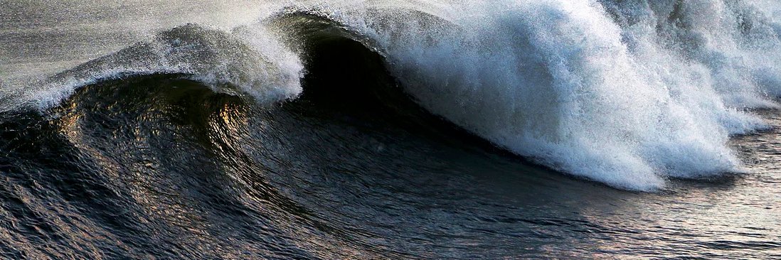 CU Photography banner