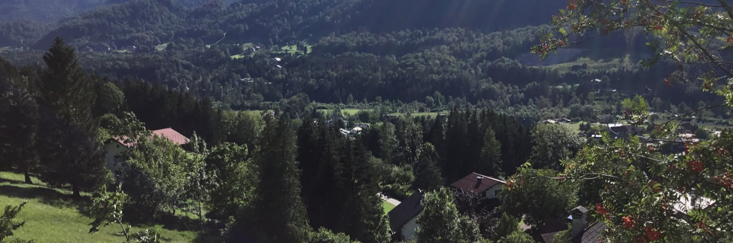 DavidASlinn's profile banner image