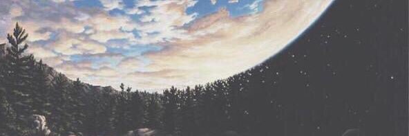 fallingforswift's profile banner image
