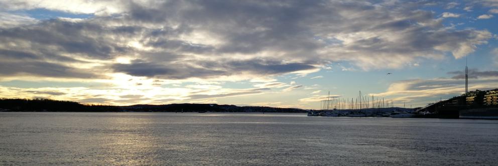 Kevin Chollet banner