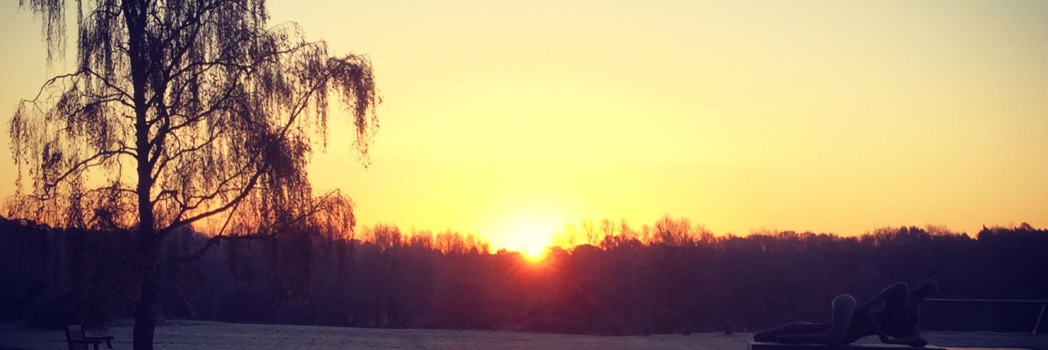 Michael Müller banner