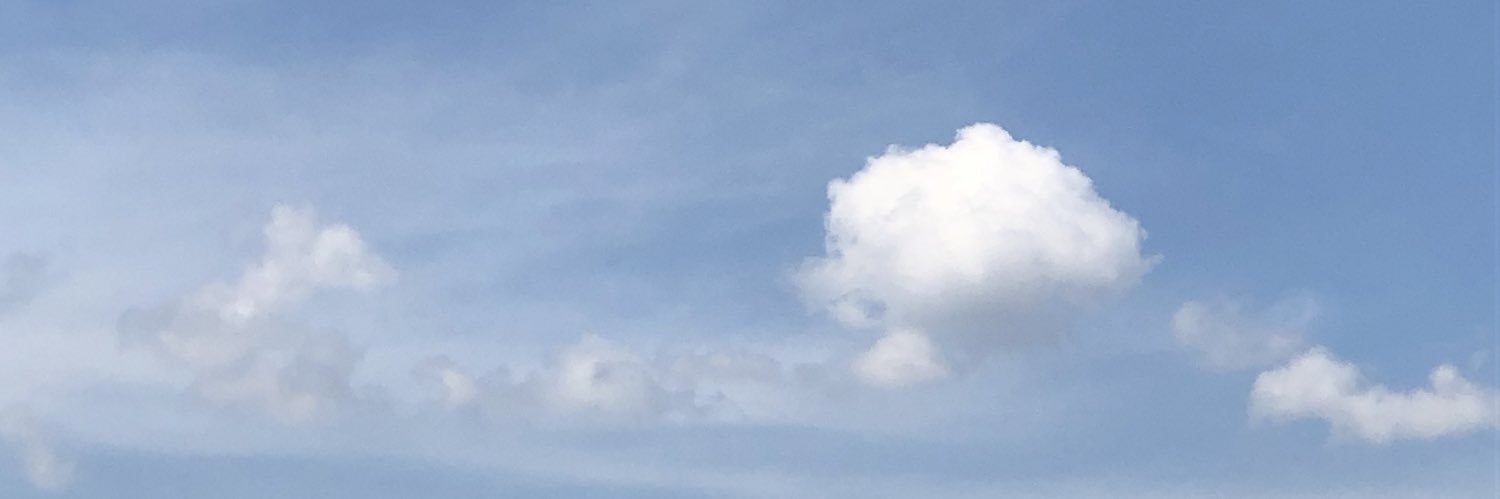 BERRYBEAMZ's profile banner image
