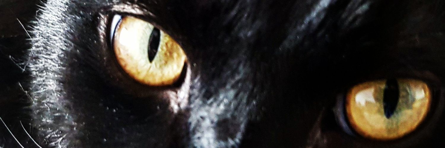 Tsukatchi's profile banner image