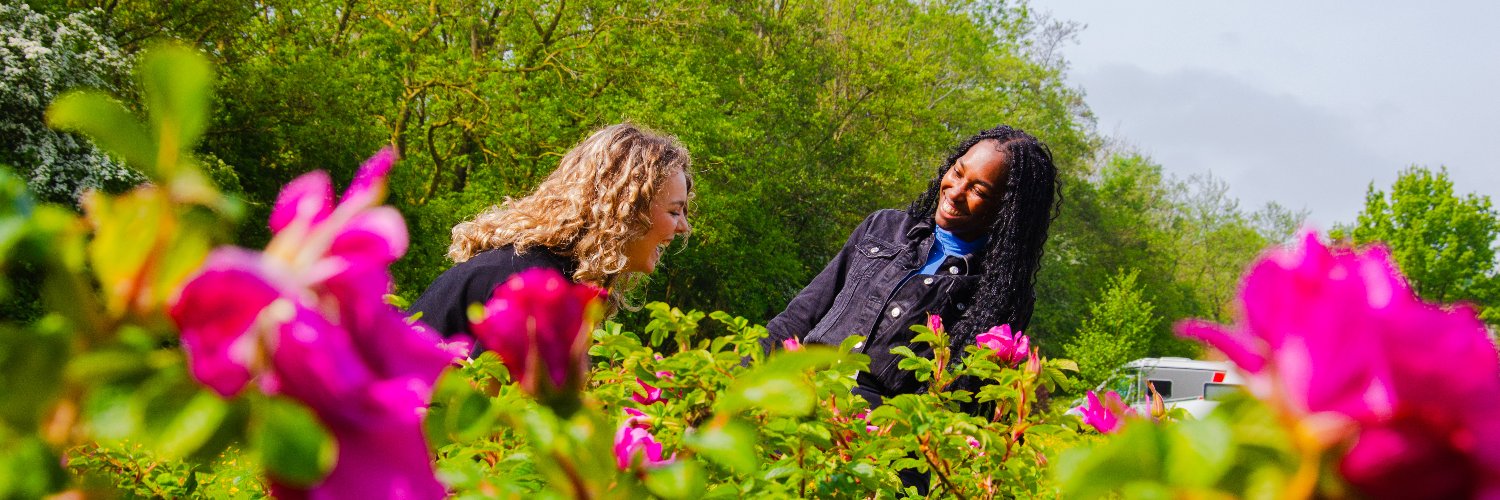 Provincie Fryslân banner
