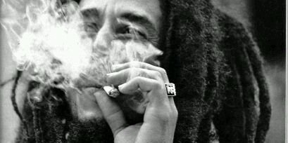 cuculemmy's profile banner image