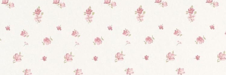 miss_fen's profile banner image