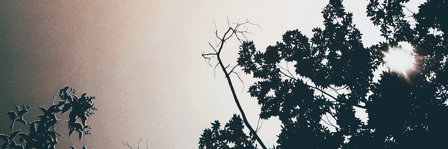 かみしろ banner