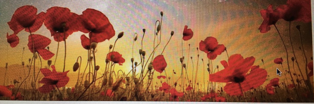 CeliaMedina's profile banner image