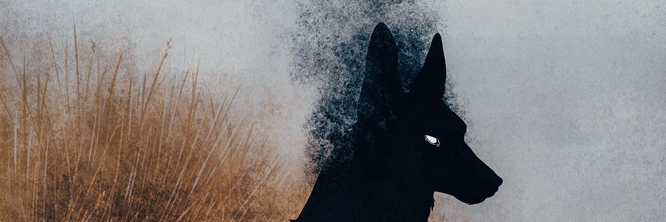 DoireannCoady's profile banner image