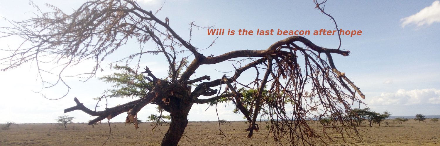 Mothethi Ndīritū banner