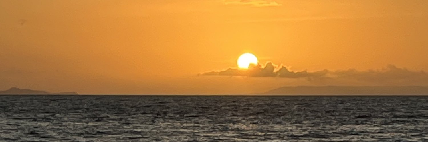 amypekiq's profile banner image