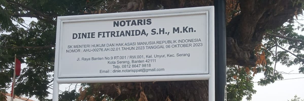 diniefitrianida's profile banner image