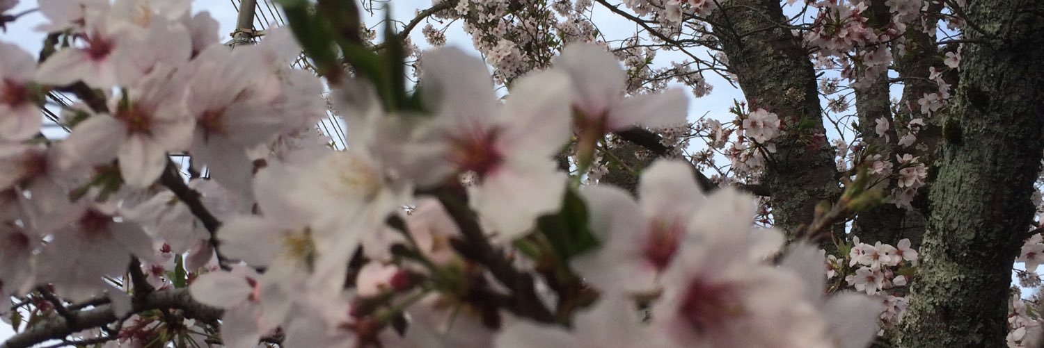 nagikaze's profile banner image