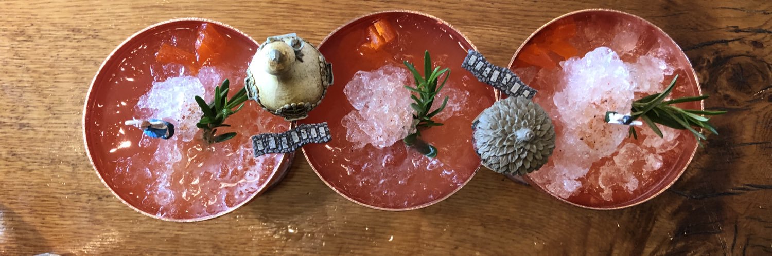 Gina Chersevani banner