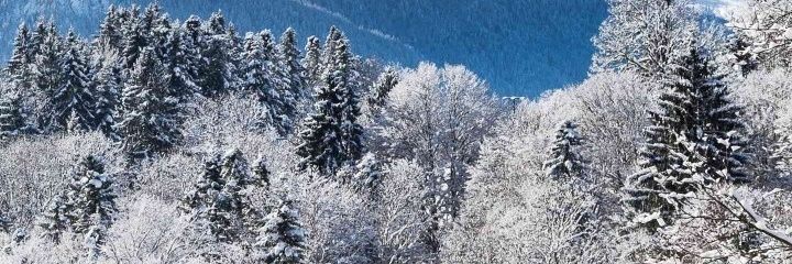 chris18722's profile banner image