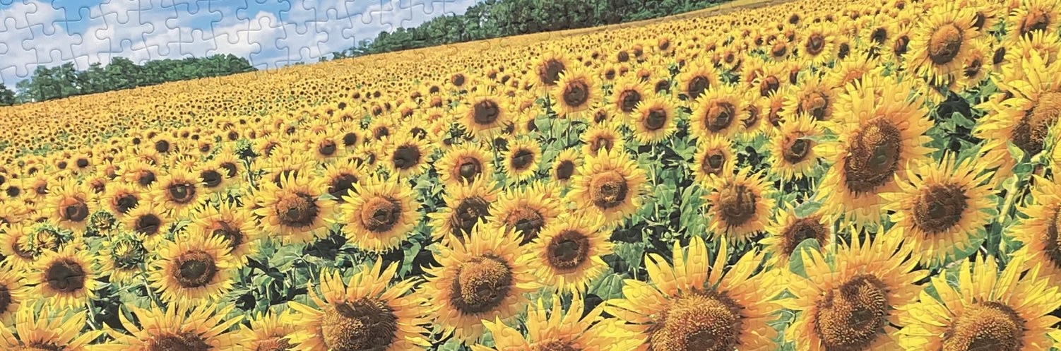 svnirvana's profile banner image