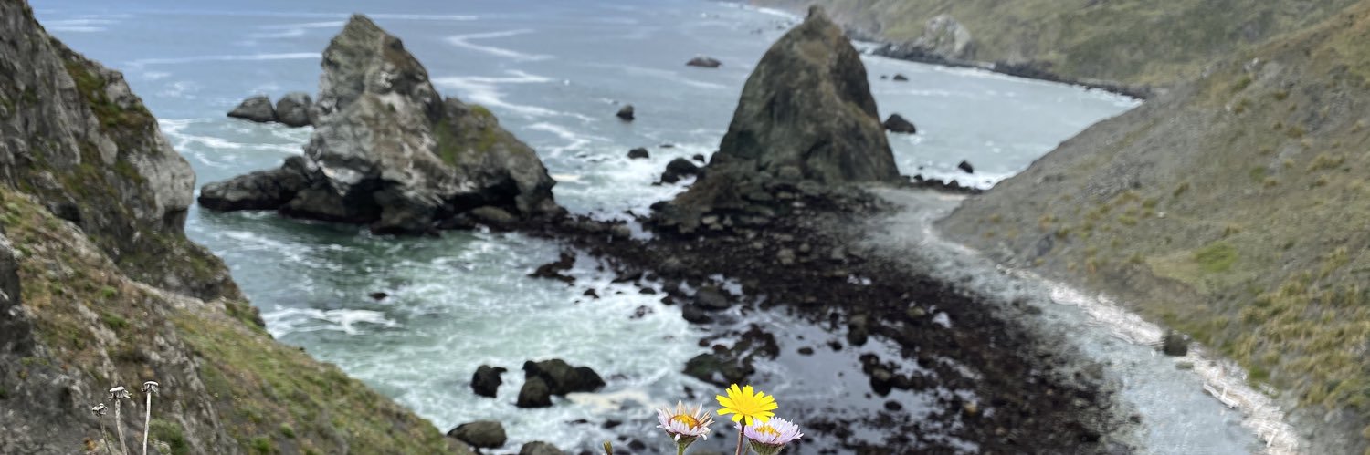 Lana Arseienko banner