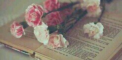 Littlekaty_86's profile banner image
