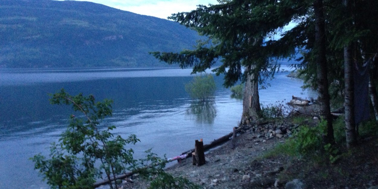 Flagrant_Agent's profile banner image