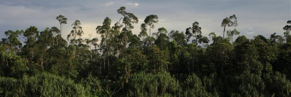 GPUKforests Profile Banner