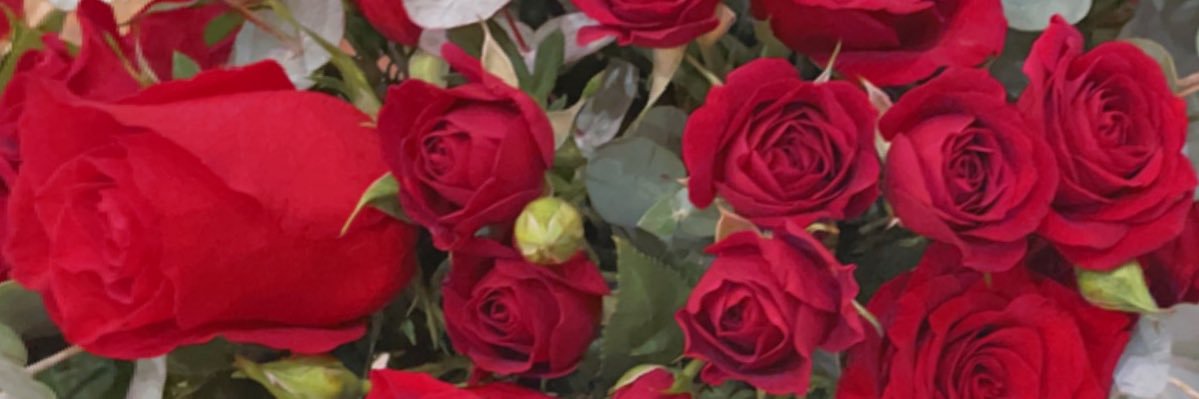 Saraalthani's profile banner image