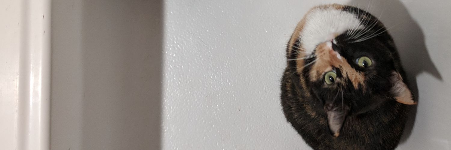 yocatstho's profile banner image