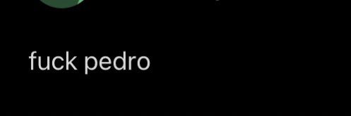 peedropascoal's profile banner image
