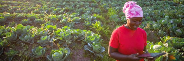 Mastercard Foundation Profile Banner