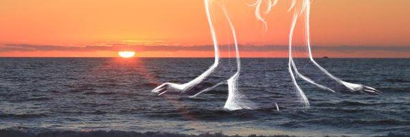 Yestefaniia's profile banner image