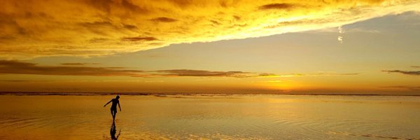 davhauss Profile Banner