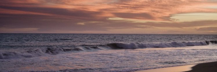 Tom_Banales's profile banner image