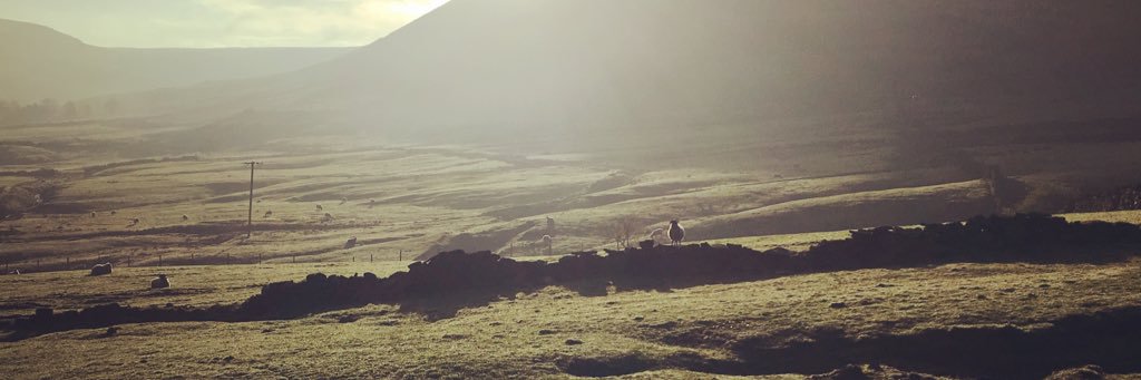 Andrew Brandwood banner