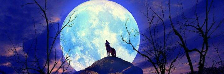 iamncubz's profile banner image