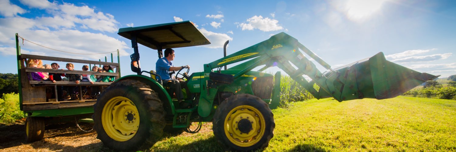 MayfieldFarm's profile banner image