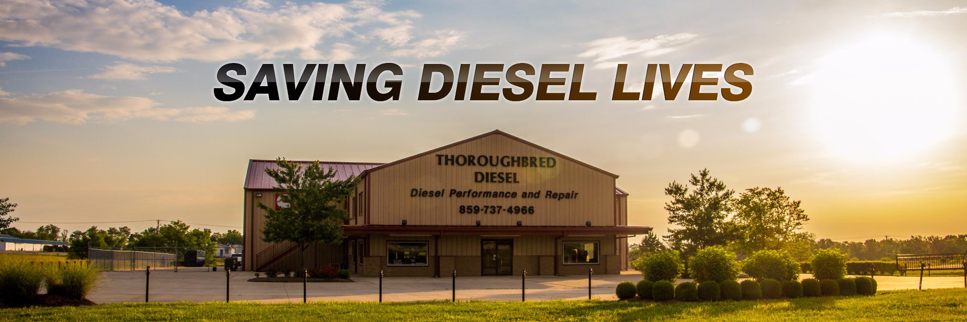 Thoroughbred Diesel banner