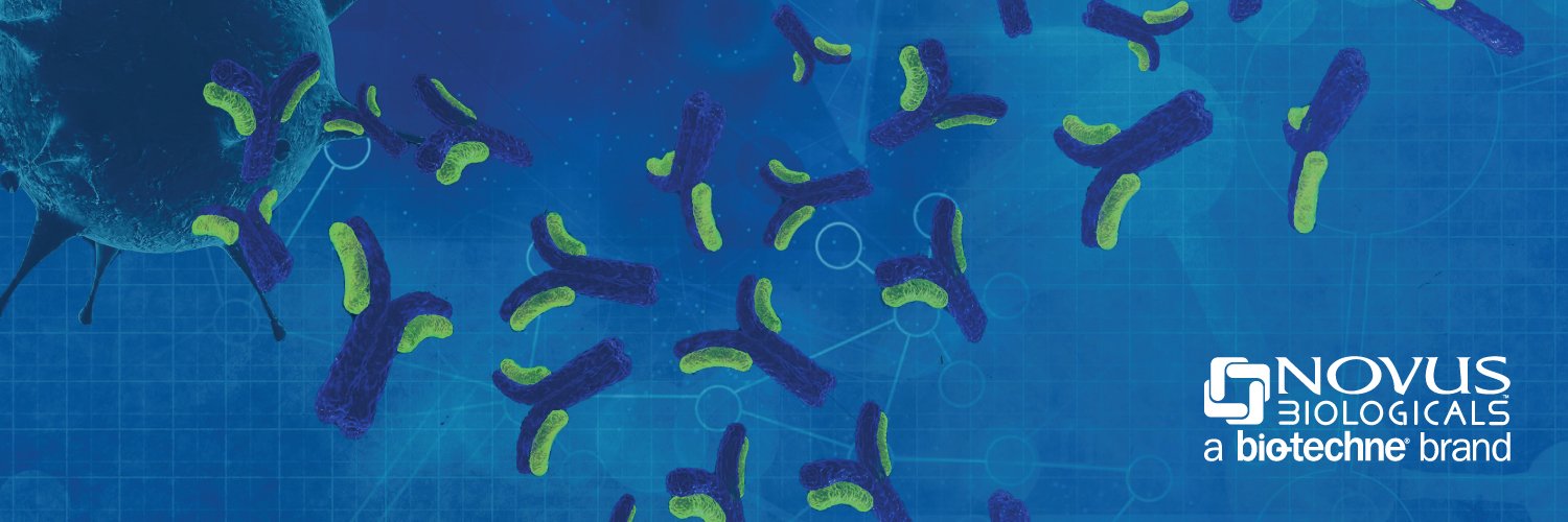 Novus Biologicals, a Bio-Techne brand banner