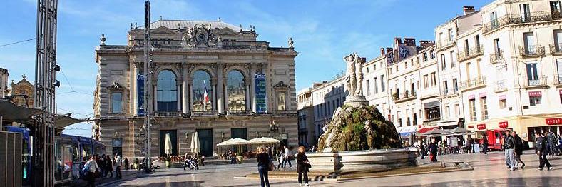 sylviebrouillet banner