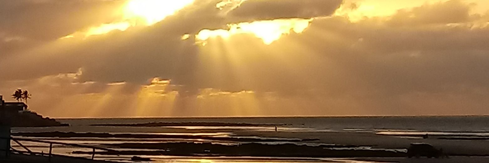 IngridPrimo's profile banner image