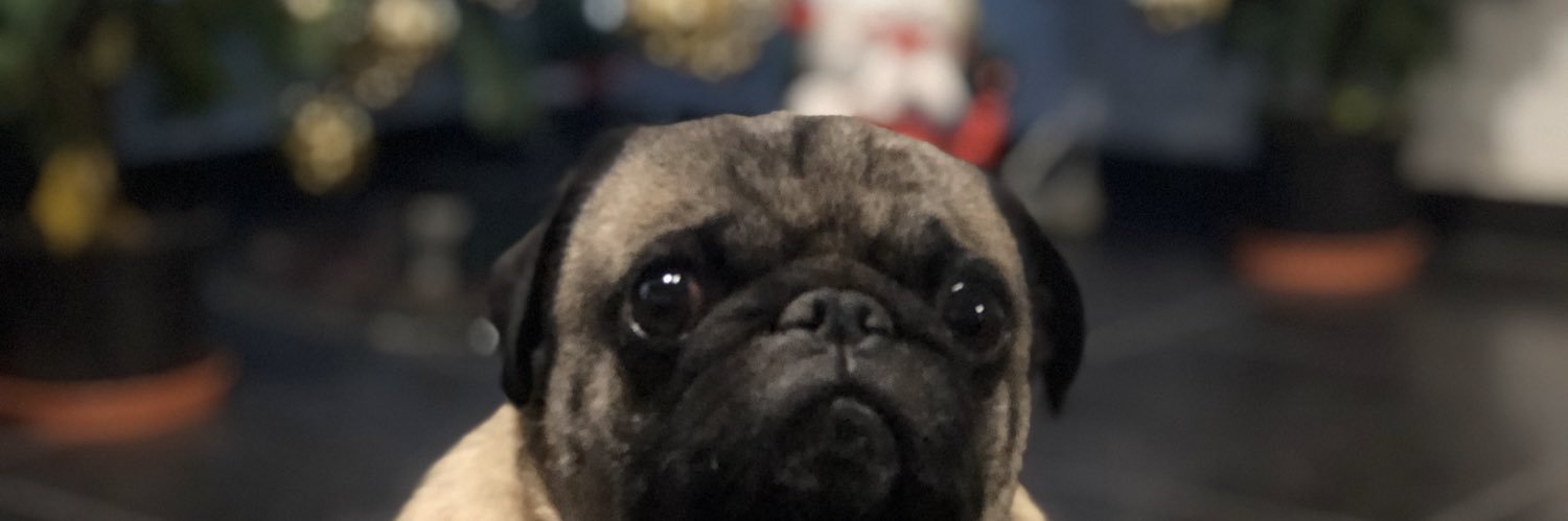 Cidel_'s profile banner image