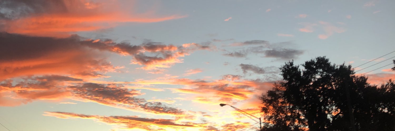 mellouwang's profile banner image