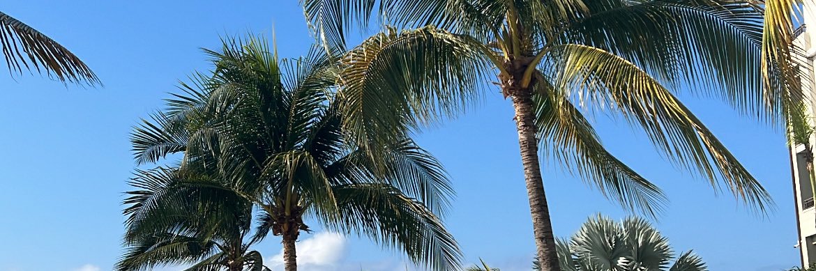 ThaHomieCito's profile banner image