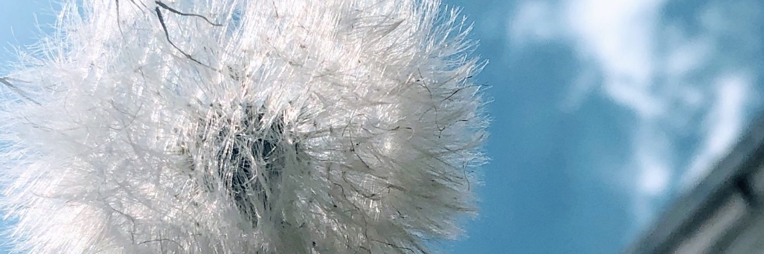 claudchagas's profile banner image
