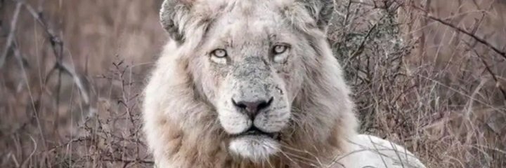 davidg_21's profile banner image
