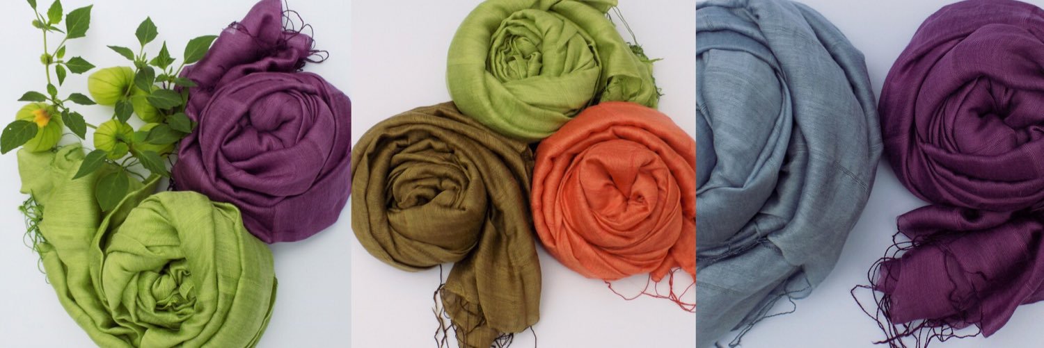 Bodacious Lifestyles banner