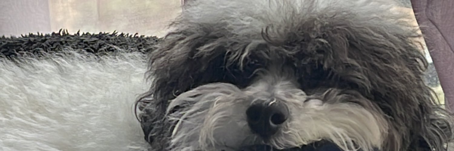 SNOOPYTOBIAS's profile banner image