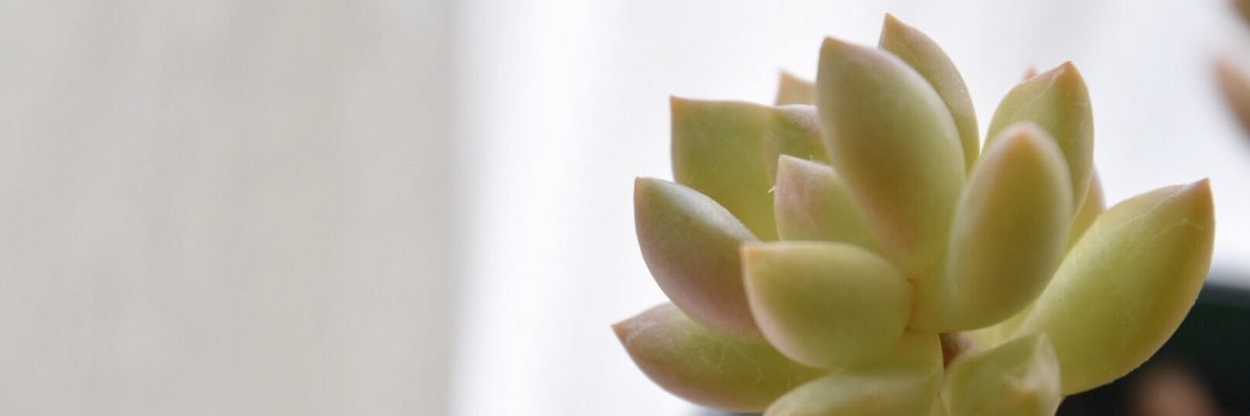 MISAOMMA's profile banner image