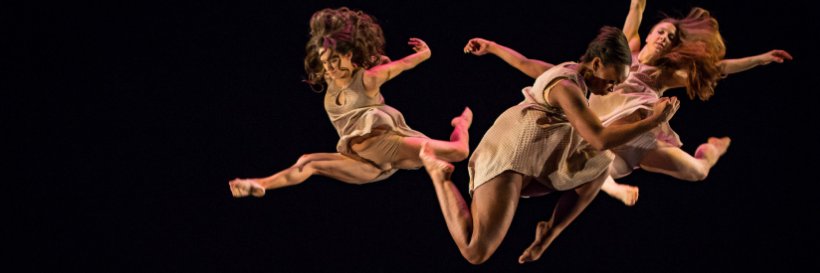 DanceMetroDC's profile banner image