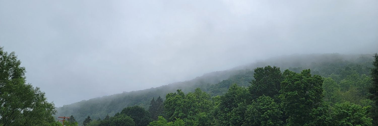 kaitlynbond's profile banner image